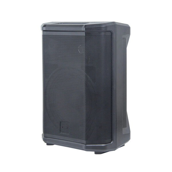 PA Speaker 8" for Musical Instruments SM-801