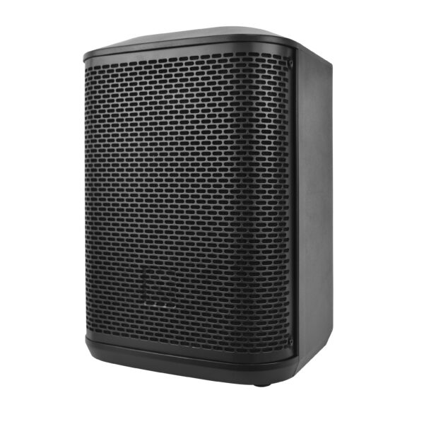 PA Speaker 8“ Musical Instruments Speaker SM-802